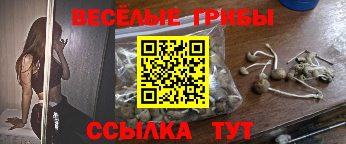 Псилоцибиновые грибы мицелий  Галлюциногенные грибы прущие грибы  Вход с VPN  Дзержинский 